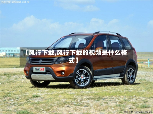 【风行下载,风行下载的视频是什么格式】-第1张图片