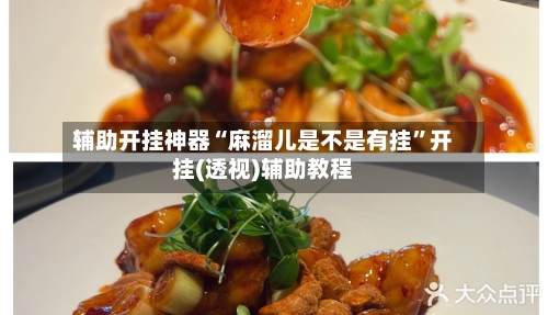 辅助开挂神器“麻溜儿是不是有挂”开挂(透视)辅助教程-第2张图片