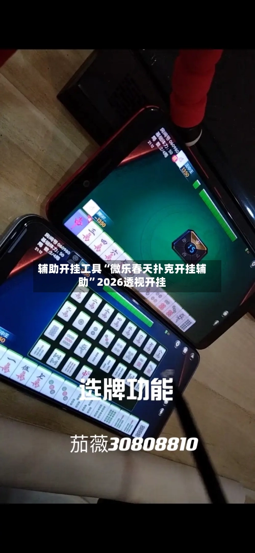 辅助开挂工具“微乐春天扑克开挂辅助	”2026透视开挂-第1张图片