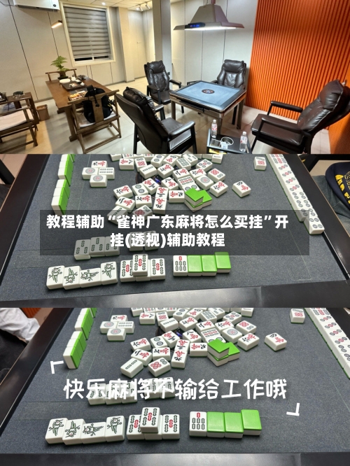教程辅助“雀神广东麻将怎么买挂	”开挂(透视)辅助教程-第2张图片