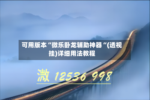 可用版本“微乐卧龙辅助神器“(透视挂)详细用法教程-第1张图片