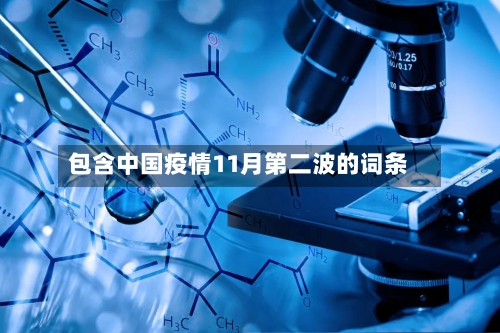 包含中国疫情11月第二波的词条-第2张图片