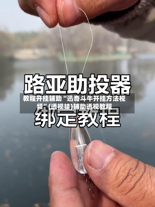 教程开挂辅助“迅奇斗牛开挂方法视频”(透视挂)辅助透视教程-第1张图片