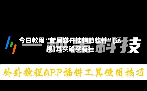 今日教程“新星游开挂辅助软件	”(透视)其实确实有挂-第2张图片