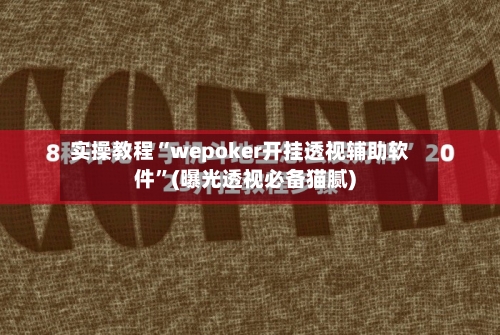 实操教程“wepoker开挂透视辅助软件”(曝光透视必备猫腻)-第1张图片