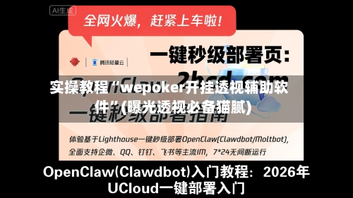 实操教程“wepoker开挂透视辅助软件	”(曝光透视必备猫腻)-第2张图片