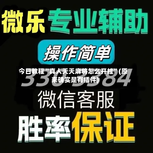 今日教程“真人天天麻将怎么开挂”(原来确实是有插件)-第2张图片