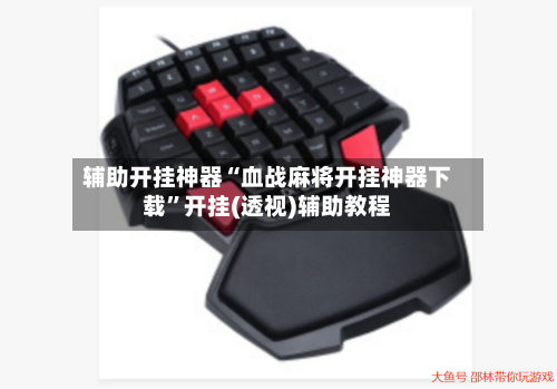 辅助开挂神器“血战麻将开挂神器下载”开挂(透视)辅助教程-第1张图片