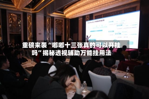 重磅来袭“嘟嘟十三张真的可以开挂吗”揭秘透视辅助万能挂用法-第3张图片