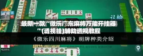 最新一款“微乐广东麻将万能开挂器”(透视挂)辅助透视教程-第3张图片