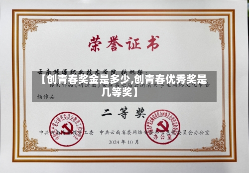 【创青春奖金是多少,创青春优秀奖是几等奖】-第2张图片