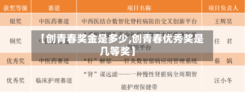 【创青春奖金是多少,创青春优秀奖是几等奖】-第3张图片