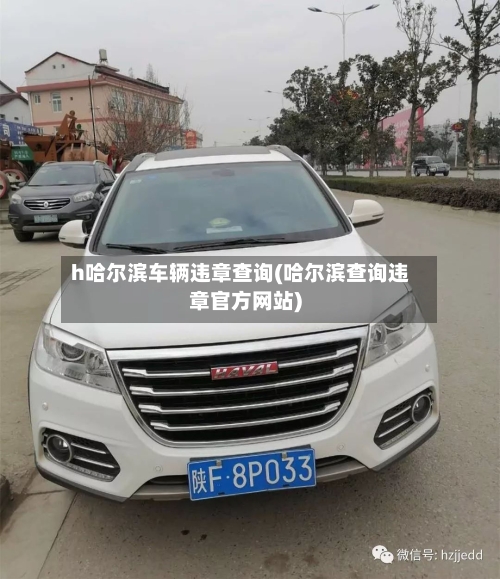 h哈尔滨车辆违章查询(哈尔滨查询违章官方网站)-第1张图片