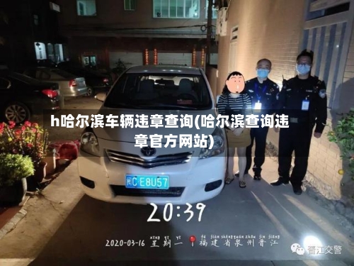 h哈尔滨车辆违章查询(哈尔滨查询违章官方网站)-第3张图片