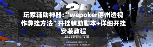 玩家辅助神器:“wepoker德州透视作弊挂方法	”开挂辅助脚本+详细开挂安装教程-第2张图片
