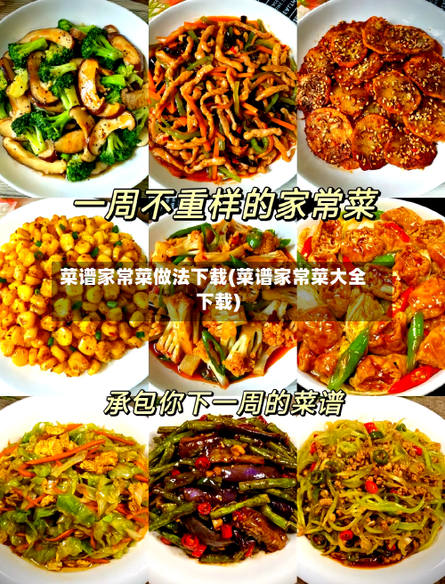 菜谱家常菜做法下载(菜谱家常菜大全下载)-第1张图片