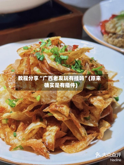 教程分享“广西老友玩有挂吗”(原来确实是有插件)-第1张图片