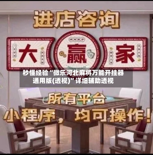 秒懂经验“微乐河北麻将万能开挂器通用版(透视)”详细辅助透视-第2张图片