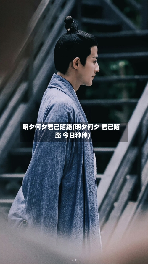 明夕何夕君已陌路(明夕何夕 君已陌路 今日种种)-第1张图片