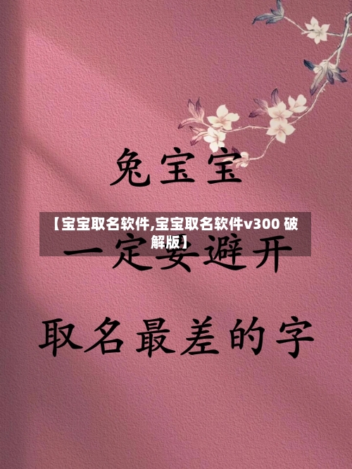 【宝宝取名软件,宝宝取名软件v300 破解版】-第1张图片