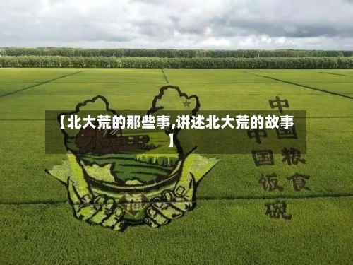 【北大荒的那些事,讲述北大荒的故事】-第3张图片