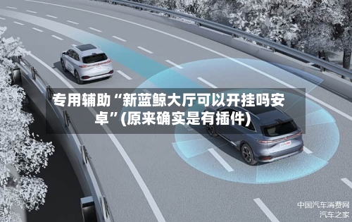 专用辅助“新蓝鲸大厅可以开挂吗安卓”(原来确实是有插件)-第2张图片