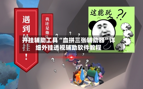 开挂辅助工具“血拼三张辅助器”详细外挂透视辅助软件教程-第3张图片