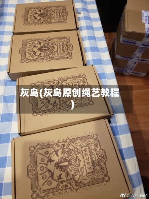 灰鸟(灰鸟原创绳艺教程)-第1张图片