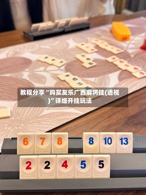 教程分享“购买友乐广西麻将挂(透视)”详细开挂玩法-第1张图片