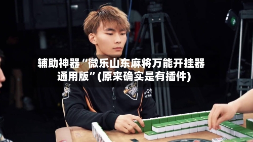 辅助神器“微乐山东麻将万能开挂器通用版”(原来确实是有插件)-第1张图片
