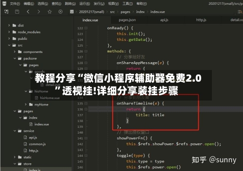 教程分享“微信小程序辅助器免费2.0”透视挂!详细分享装挂步骤-第1张图片