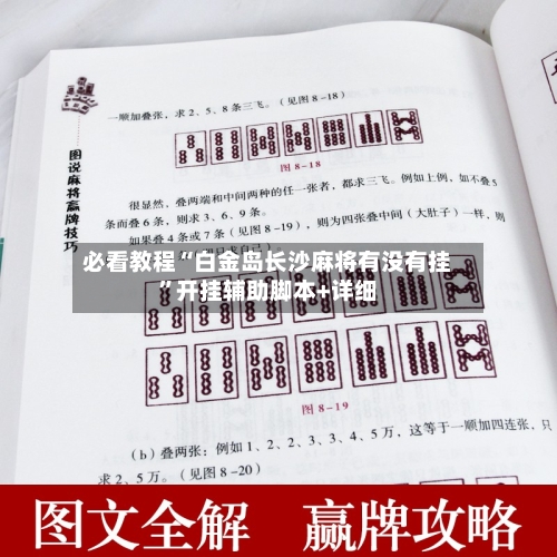 必看教程“白金岛长沙麻将有没有挂”开挂辅助脚本+详细-第1张图片