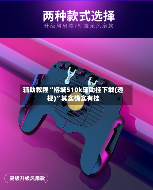 辅助教程“榕城510k辅助挂下载(透视)”其实确实有挂-第3张图片