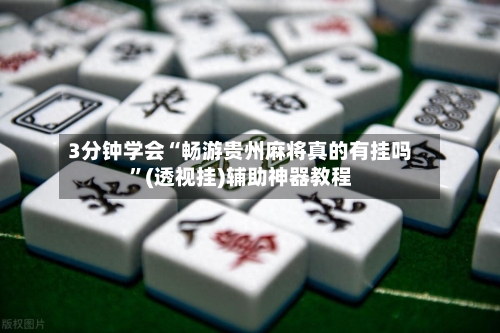 3分钟学会“畅游贵州麻将真的有挂吗”(透视挂)辅助神器教程-第3张图片