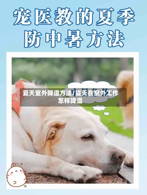 夏天室外降温方法/夏天在室外工作怎样降温-第3张图片