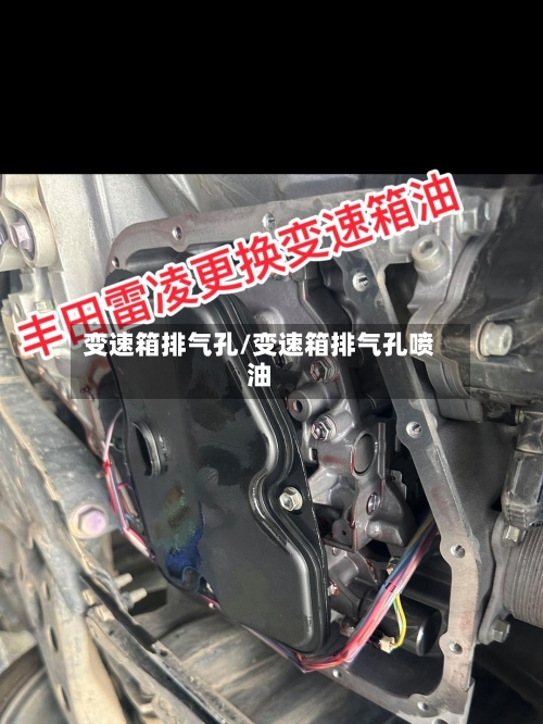 变速箱排气孔/变速箱排气孔喷油-第2张图片