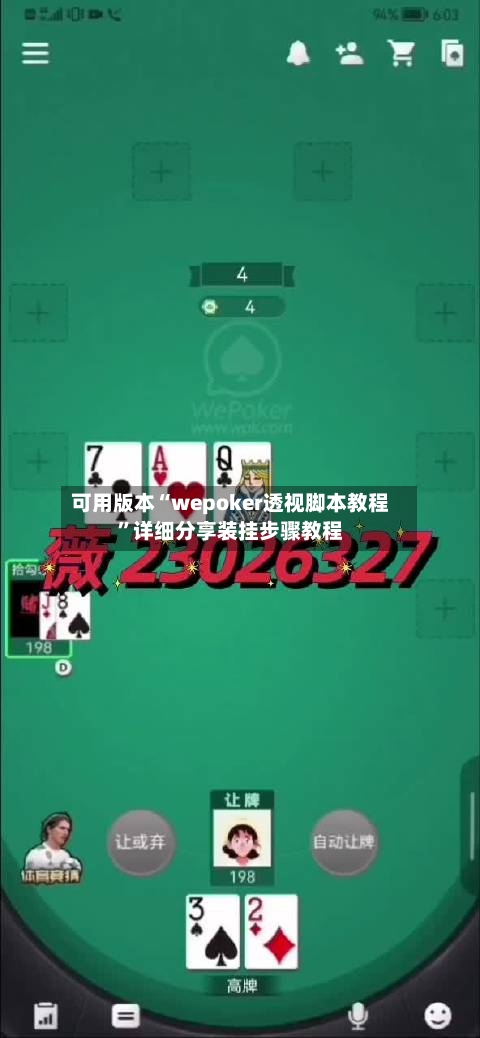可用版本“wepoker透视脚本教程”详细分享装挂步骤教程-第2张图片