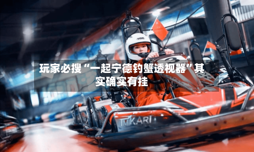 玩家必搜“一起宁德钓蟹透视器”其实确实有挂-第1张图片