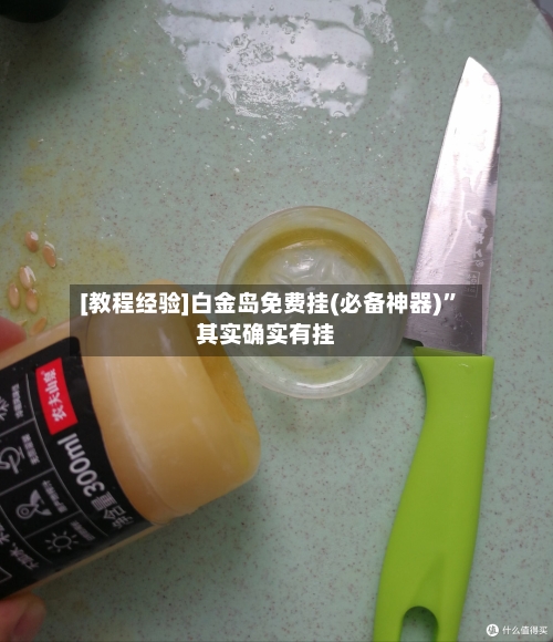 [教程经验]白金岛免费挂(必备神器)”其实确实有挂-第3张图片