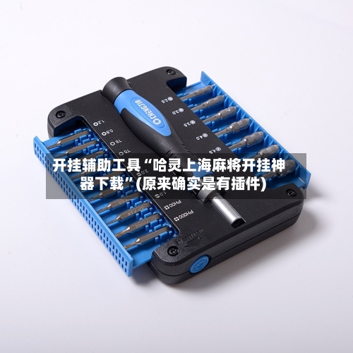 开挂辅助工具“哈灵上海麻将开挂神器下载	”(原来确实是有插件)-第1张图片