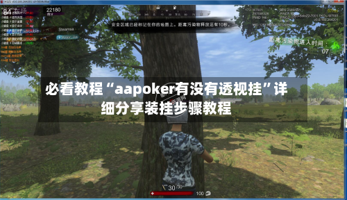 必看教程“aapoker有没有透视挂”详细分享装挂步骤教程-第2张图片