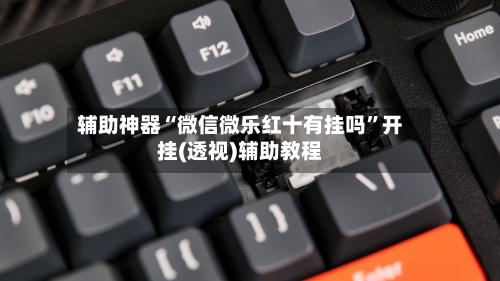 辅助神器“微信微乐红十有挂吗	”开挂(透视)辅助教程-第1张图片