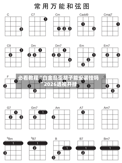 必看教程“白金岛歪胡子能安装挂吗”2026透视开挂-第2张图片