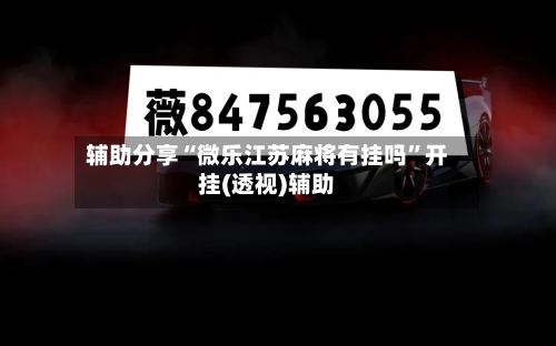 辅助分享“微乐江苏麻将有挂吗”开挂(透视)辅助-第2张图片