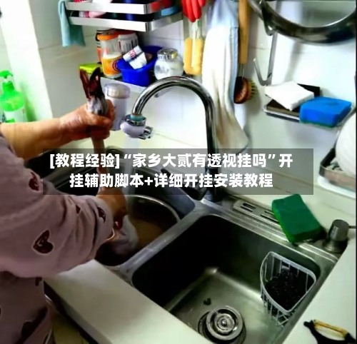 [教程经验]“家乡大贰有透视挂吗”开挂辅助脚本+详细开挂安装教程-第1张图片