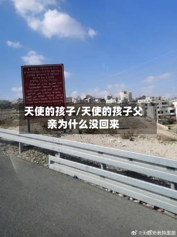 天使的孩子/天使的孩子父亲为什么没回来-第2张图片