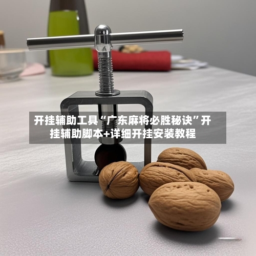开挂辅助工具“广东麻将必胜秘诀	”开挂辅助脚本+详细开挂安装教程-第1张图片