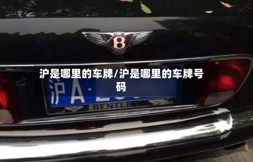 沪是哪里的车牌/沪是哪里的车牌号码-第1张图片