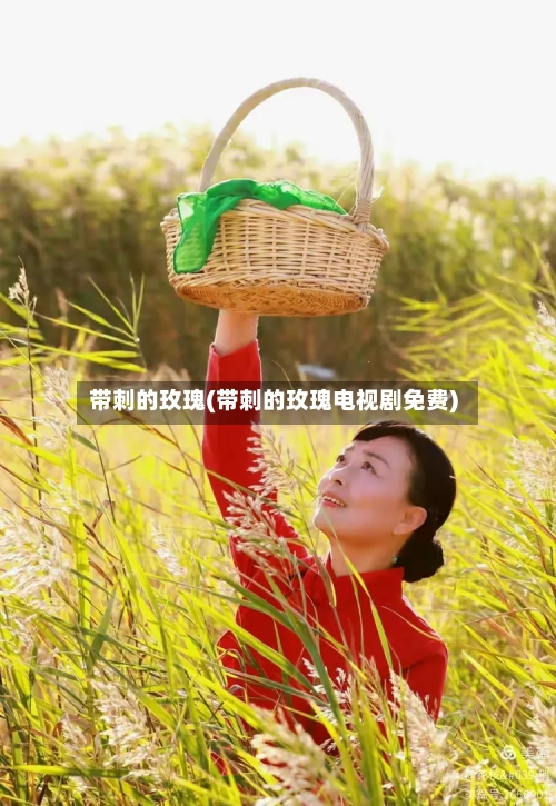 带刺的玫瑰(带刺的玫瑰电视剧免费)-第1张图片