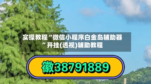实操教程“微信小程序白金岛辅助器”开挂(透视)辅助教程-第1张图片